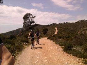 MTB-Ri. Palma.jpg