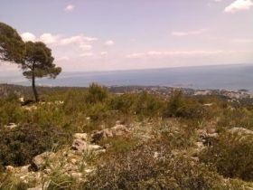 MTB-Blick auf Palma.jpg